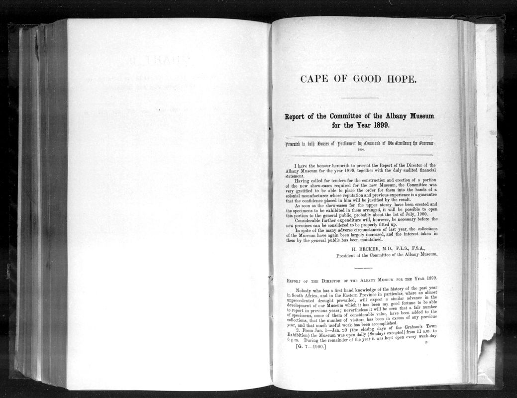 View document: Report of The Committee of The Albany Museum For The Year 1899.