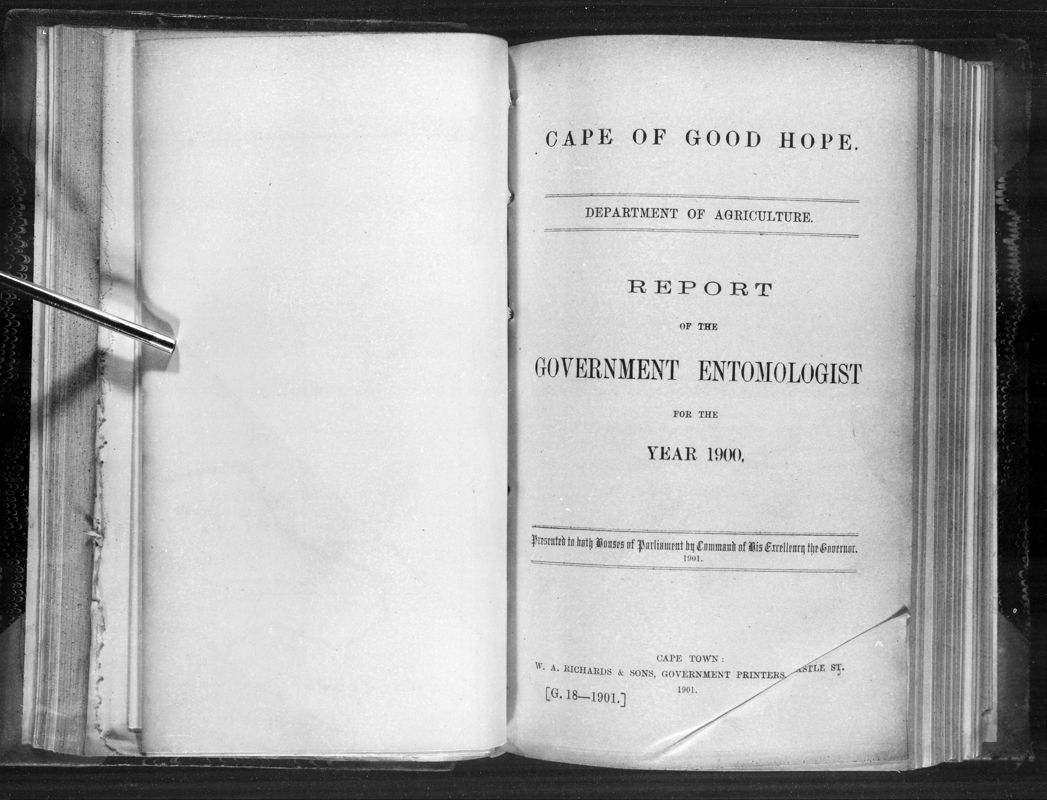 View document: Report of The Government Entomologist For The Year 1900.