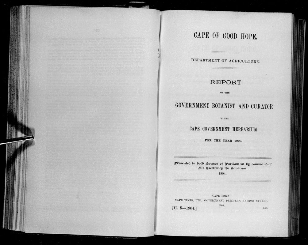 View document: Report of The Government Botanist and Curator of The Cape Government Herbarium For The Year 1903.