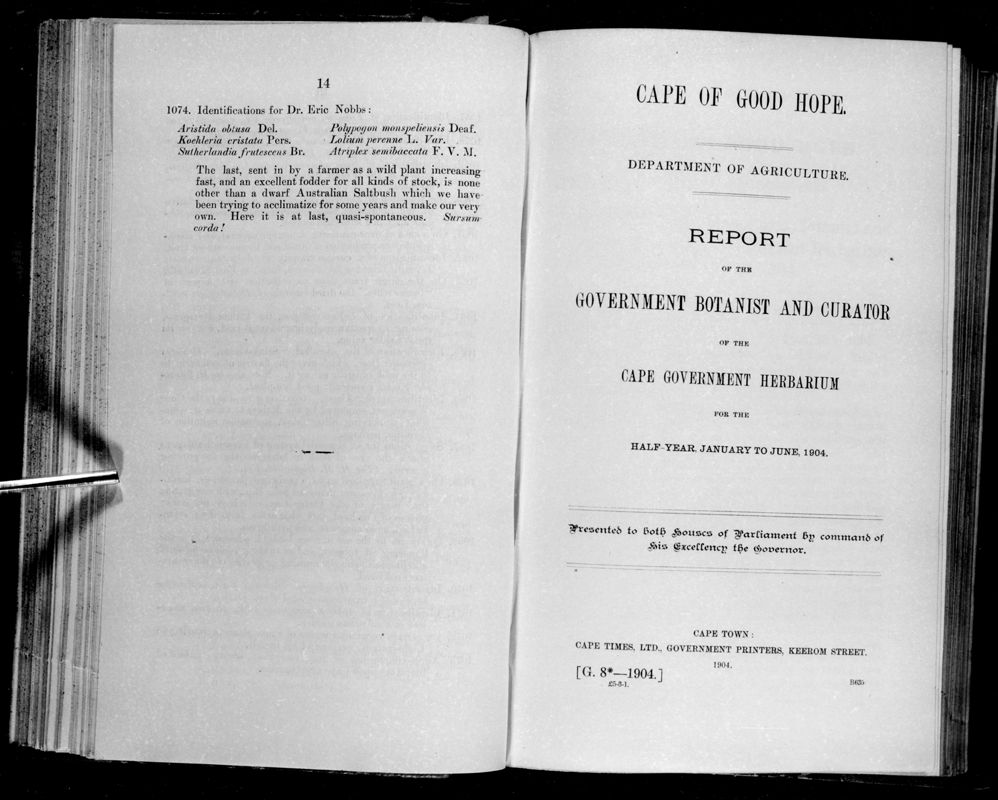 View document: Report of The Government Botanist and Curator of The Cape Government Herbarium For The Half-Year January to June 1904.