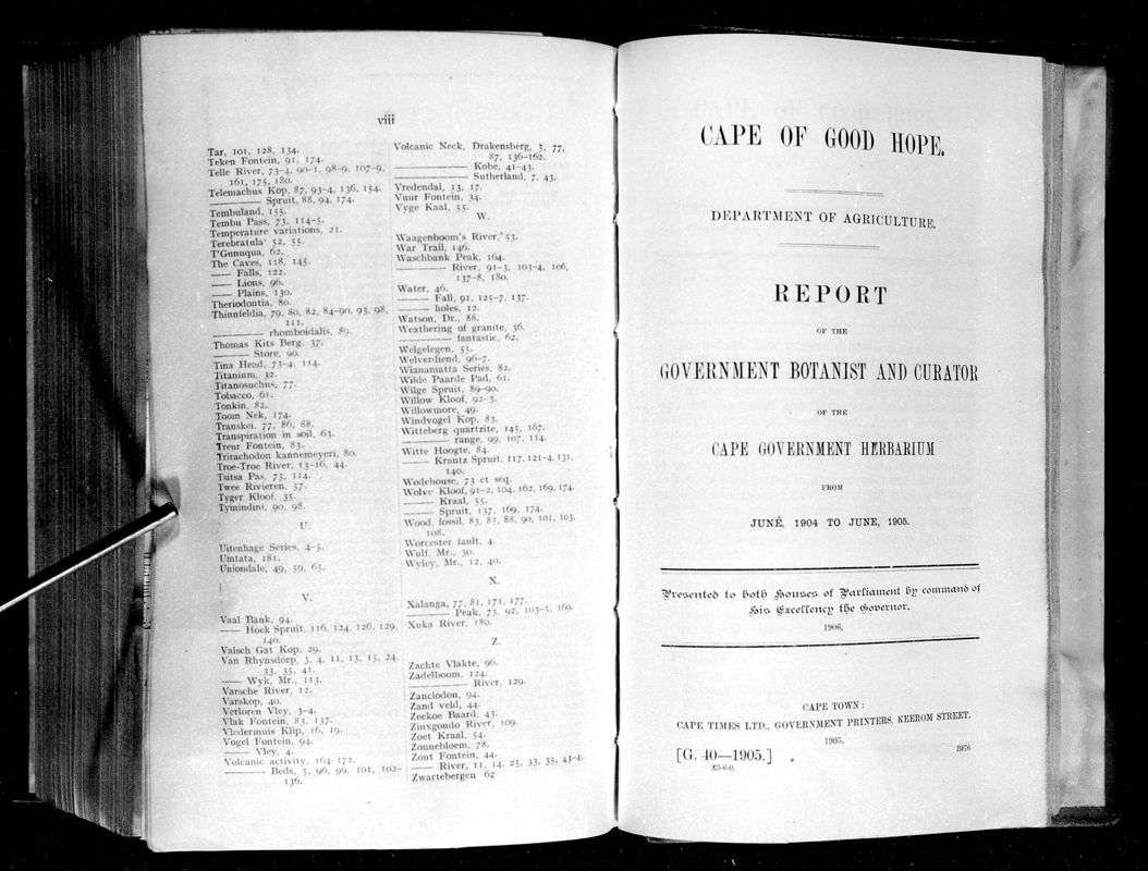 View document: Report of The Government Botanist and Curator of The Cape Government Herbarium From June 1904 to June 1905.